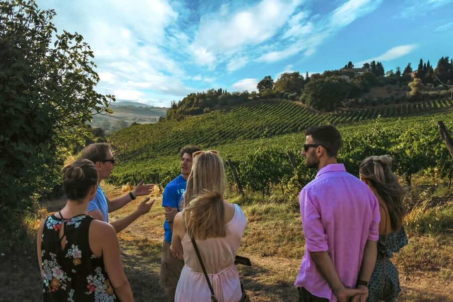 Siena: Organic Winery Tour and Wine Tasting - The tasting room for Siena wine tasting: 5 organic wines, served with a purpose