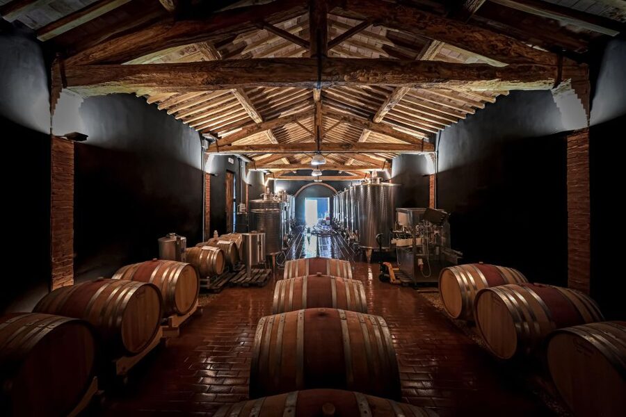Siena: Organic Winery Tour and Wine Tasting - Afternoon meal pairings: Tuscan seasonal food that keeps up with the wine