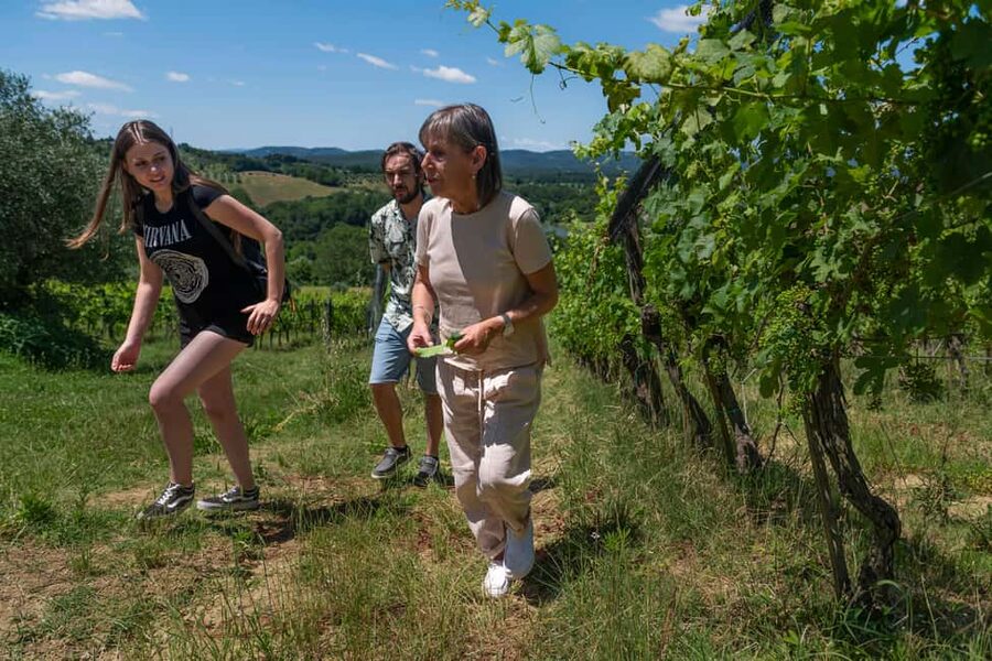 Siena: Organic Winery Tour and Wine Tasting - Vineyard time at Azienda Agricola La Lastra: organic farming you can actually picture