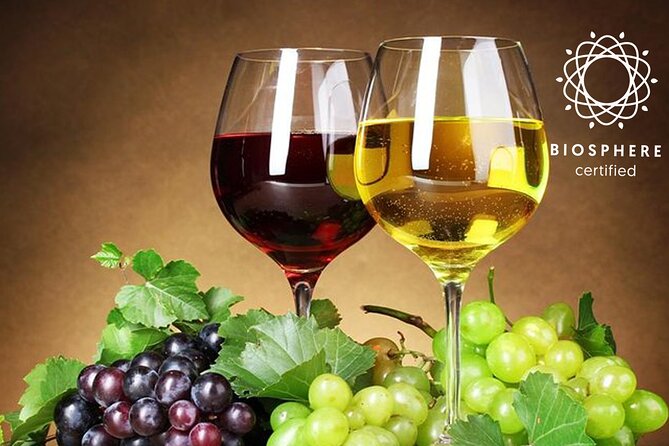 Signature Wine Tastings, Skywalk, Nature 4x4 Open Roof Expedition - Cabo Girão Skywalk: the highest cliff views and the €3 extra fee