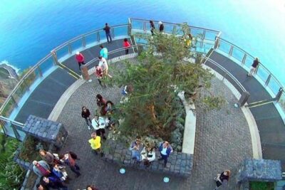 Signature Wine Tastings, Skywalk, Nature 4x4 Open Roof Expedition - Pickup and what to expect before the first stop