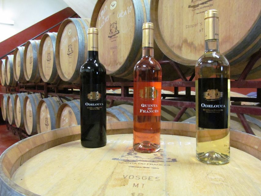 Silves, Caldas and Monchique Wine Tasting: Full Day Tour - Should you book this Silves–Monchique–Fóia wine tasting day trip?