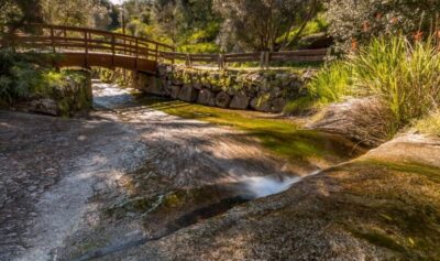 Silves, Caldas and Monchique Wine Tasting: Full Day Tour - Caldas de Monchique thermal springs: the pause with real character
