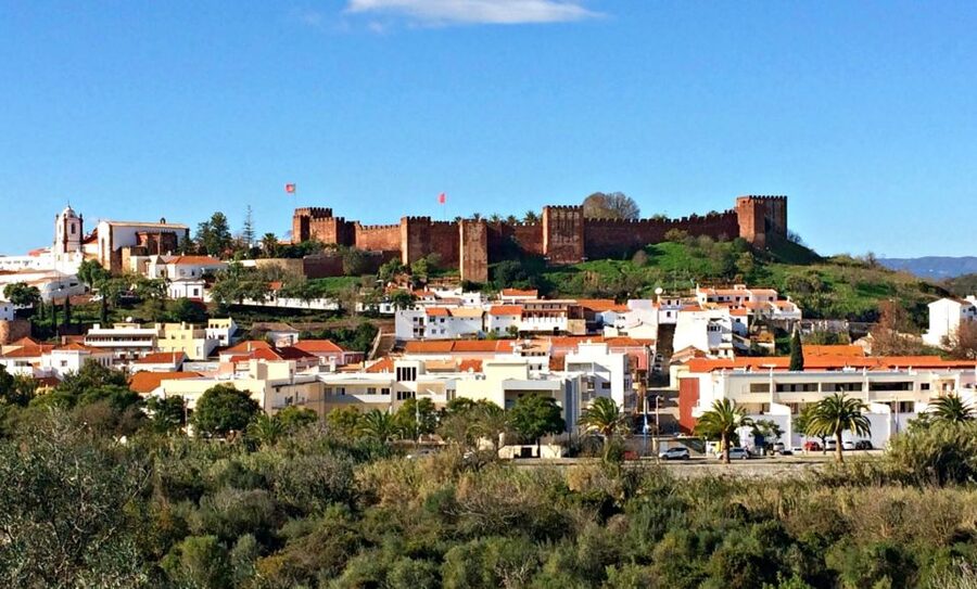 Silves, Caldas and Monchique Wine Tasting: Full Day Tour - Price and value: why $104 works (and where it doesn’t)