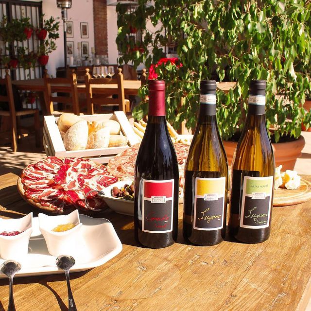 Sirmione: Vineyard Tour with Lugana Wines and Local Tastings - Food pairing at the right volume: cheeses, jam, olive oil