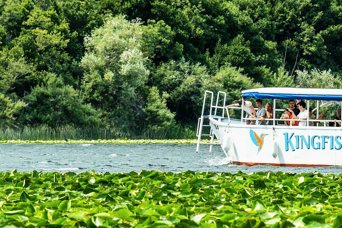 Skadar Lake & Crnojevića River: Swimming, Snacks & Wine - Lake Skadar National Park: wildlife viewing that doesn’t feel forced