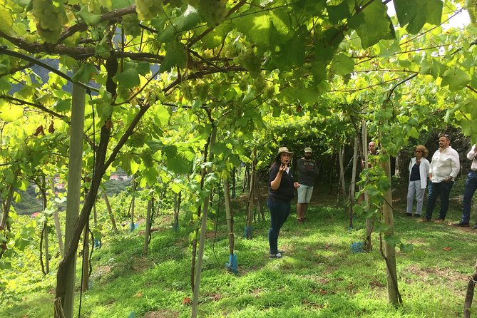 Skywalk with Wines Tasting and Vineyards Half day 4x4 Adventure - The 4x4 ride from Funchal to São Vicente: where the island gets rough