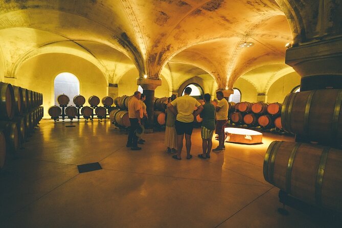 Small-group Amarone Wine e-Bike Tour from Verona - Guides make the difference: Zaufiya, Silvia, Lorenzo, Sophia, and Frederika