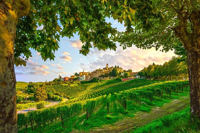 Small-Group Barolo Wine Tasting, Alba & UNESCO Piedmont Hills - Alba in the Morning: Towers, San Lorenzo, and Truffle-Fair Energy