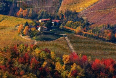 Small-Group Barolo Wine Tasting, Alba & UNESCO Piedmont Hills - UNESCO Grinzane Cavour Castle: Views Plus a Wine-Political Story