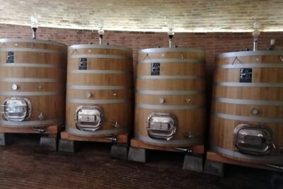 Small-Group Brunello di Montalcino Wine-Tasting Trip from Siena - First Winery: Vineyard Walk, Cellars, and Your Brunello Baseline