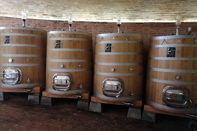 Small-Group Brunello di Montalcino Wine-Tasting Trip from Siena - First Winery: Vineyard Walk, Cellars, and Your Brunello Baseline