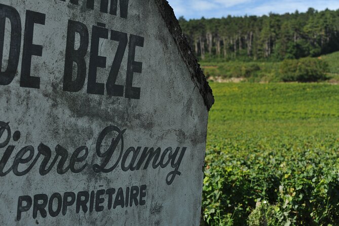 Small group Burgundy tour of Beaune with Wine Tasting from Dijon - La Moutarderie Fallot: mustard stop, wine brain, Dijon comfort