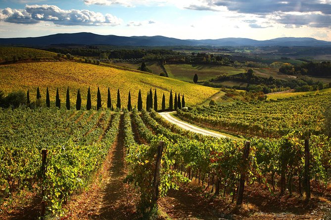Small-Group Chianti Trip with Wine Tasting from Siena - Vertine or Gaiole in Chianti: the fast stop that makes the day feel real