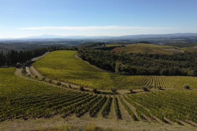 Small-Group Chianti Trip with Wine Tasting from Siena - Castello di Ama: lunch plus tasting in the middle of the wine country