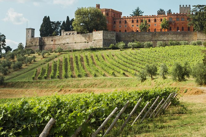 Small-Group Chianti Trip with Wine Tasting from Siena - What to do with wine purchases and shipping