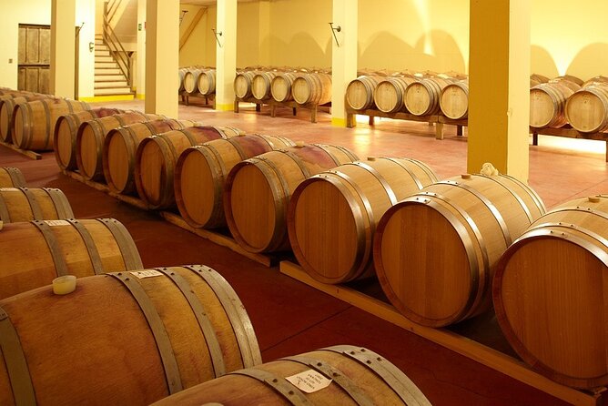 Small-Group Chianti Trip with Wine Tasting from Siena - The van ride you’ll actually enjoy: countryside context as you go