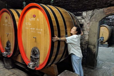 Small Group Chianti Wine Tasting with Seven Tuscan Wines - Inside Fattoria San Pancrazio: cantina tour, vineyard walk, and the story you actually use