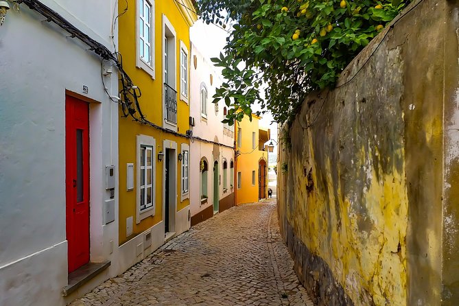 Small-Group Day Tour of Silves and Monchique with Wine Tasting - Quinta do Frances Winery: Vineyard Time and a Wine Tasting Finish
