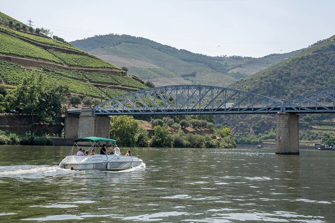 Small Group Douro Valley Wine Tour with Lunch and Cruise - Porto to the Douro Valley: what the full day is really like