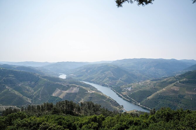Small Group Douro Valley Wine Tour with Lunch and Cruise - Lunch at the estate: 3 courses, wine pairing, and actual Portuguese comfort food