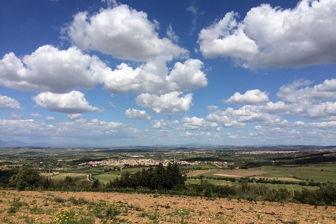 Small-Group Food and Wine Tour from Cagliari - Soleminis and the wine maker meet: the heart of the experience