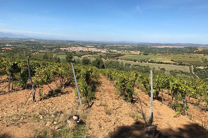 Small-Group Food and Wine Tour from Cagliari - Transport, comfort, and why the van matters more than you think