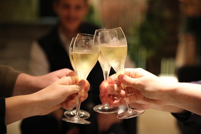 Small Group - Full Day Champagne Tour 3 Small Champagne Growers - Key Highlights You’ll Actually Care About