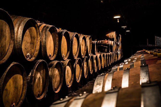 Small-Group Full-Day Tour of Côte de Nuits, Côte de Beaune Vineyards and Beaune Historical District - Key things to know before you go