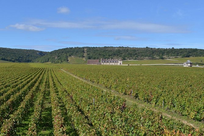 Small-Group Full-Day Tour of Côte de Nuits, Côte de Beaune Vineyards and Beaune Historical District - The meeting point in Dijon and how the day starts