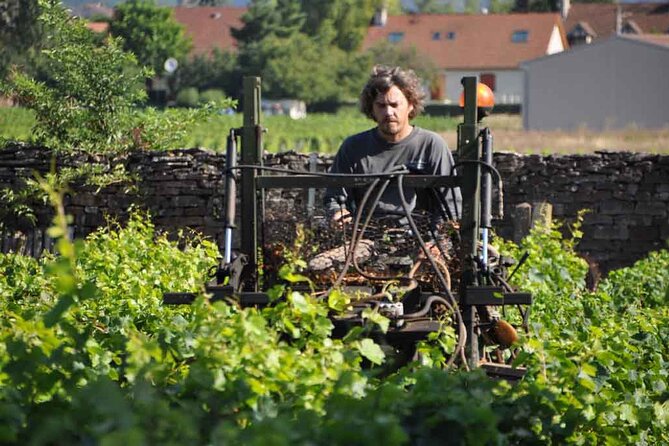 Small-Group Full-Day Tour of Côte de Nuits, Côte de Beaune Vineyards and Beaune Historical District - Stop 1: the boutique cellar tasting and why that first pour matters