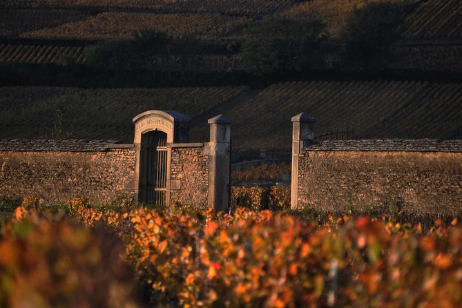 Small-Group Full-Day Tour of Côte de Nuits, Côte de Beaune Vineyards and Beaune Historical District - Your tasting strategy: how to get the most without feeling wrecked