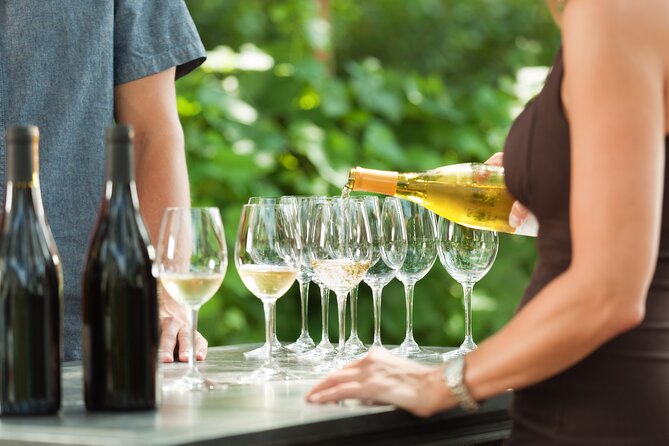 Small-Group Giant Redwoods and Russian River Wine Country Trip - Key things I’d plan for