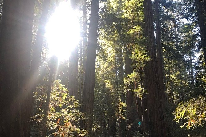 Small-Group Giant Redwoods and Russian River Wine Country Trip - Morning Start at the Golden Gate Bridge: Photos and Timing