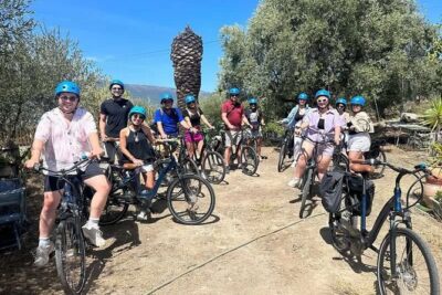 Small Group Guided E-bike Tour in Nice's Organic Vineyard - Collet Bovis and the family winery visit: the wine part you actually want
