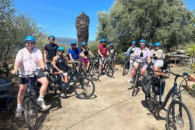 Small Group Guided E-bike Tour in Nice's Organic Vineyard - Collet Bovis and the family winery visit: the wine part you actually want