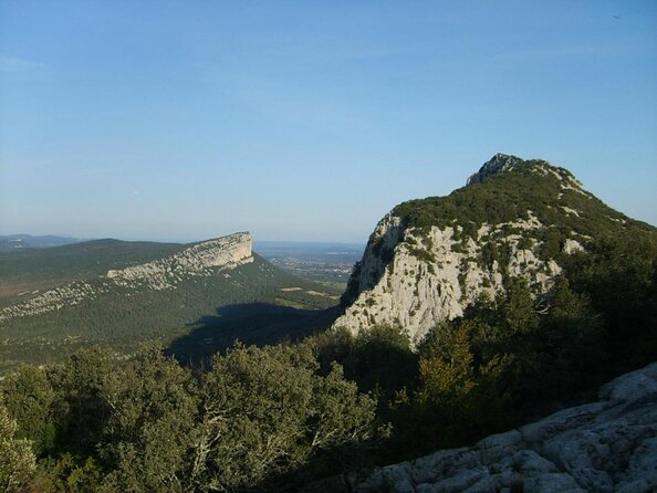 Small-Group Half-Day Languedoc Pic Saint-Loup Wine Tour from Montpellier - Key highlights worth your attention