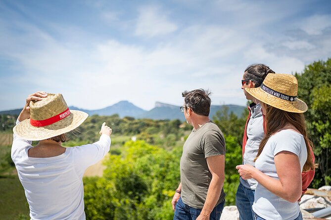 Small-Group Half-Day Languedoc Pic Saint-Loup Wine Tour from Montpellier - Pic Saint-Loup: the half-day view that makes the wines make sense
