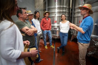 Small-Group Half-Day Languedoc Pic Saint-Loup Wine Tour from Montpellier - Stop 1 at Montpellier Wine Tours: setting context before the tasting