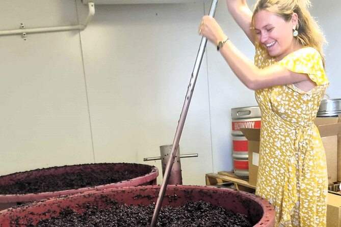 Small Group Hunter Valley Wine Tour + Lunch, Gin & Choc ex Sydney - Three guided winery tastings plus a gin and vodka distillery stop
