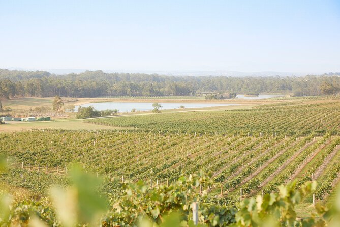 Small Group Hunter Valley Wine Tour w Lunch, Gin, Cheese & Choc - Lunch with wine or beer, and how to handle the food stops