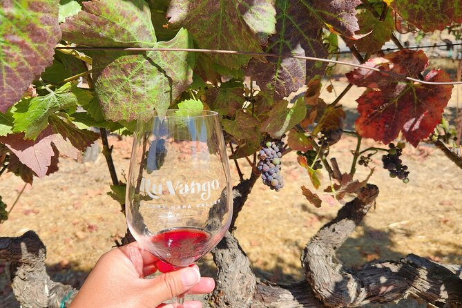 Small Group Napa and Sonoma Full-Day Wine Tour from San Francisco - The Guides and the Pace: Why People Feel “Handled” All Day