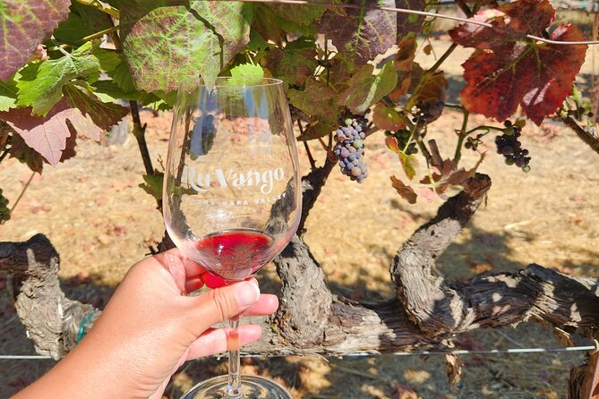 Small Group Napa and Sonoma Half-Day Wine Tour from San Francisco - Getting the most out of the drive: what to bring