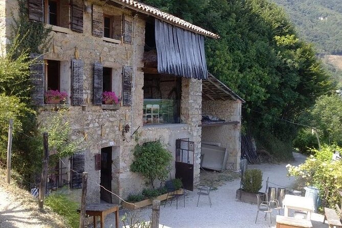 Small Group Prosecco Experience from Venice - Boutique Winery - Price and what you really get for $169