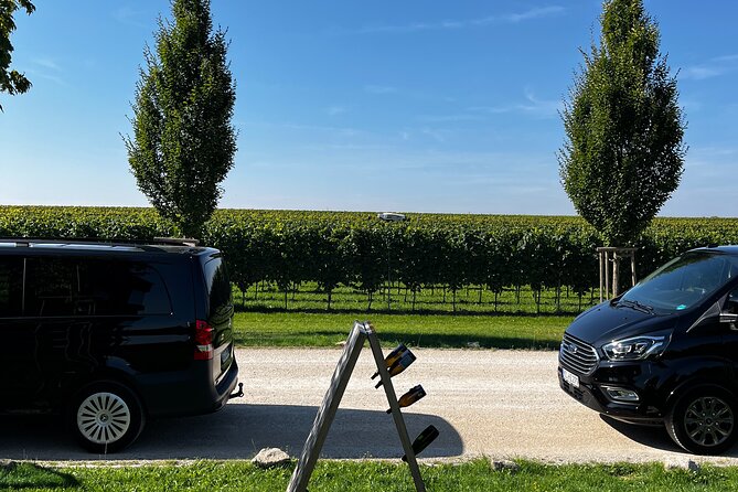 Small Group Rheingau Vineyards Tour with Castles and Abbeys - Weingut Kaufmann: your 6-wine flight across styles (Riesling to Pinots)