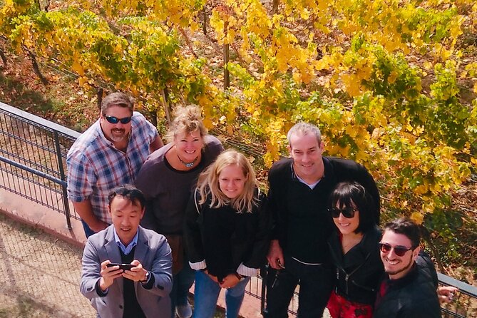 Small Group Rheingau Vineyards Tour with Castles and Abbeys - What you’ll taste (and how to taste without getting lost)