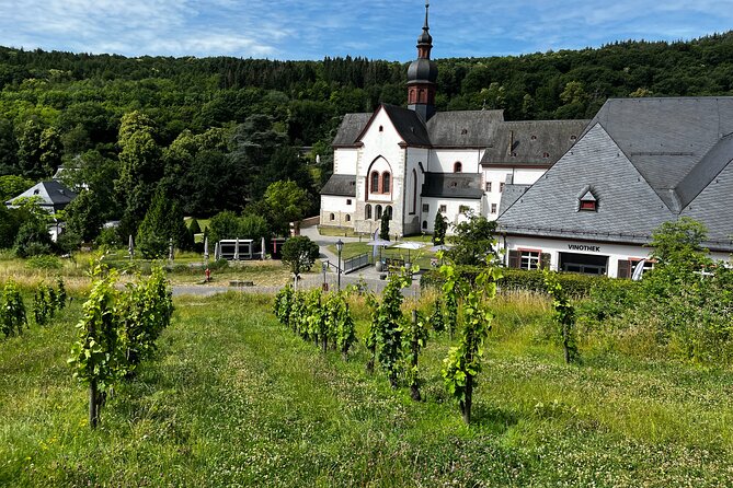 Small Group Rheingau Vineyards Tour with Castles and Abbeys - Lunch is extra—so choose what supports your pace