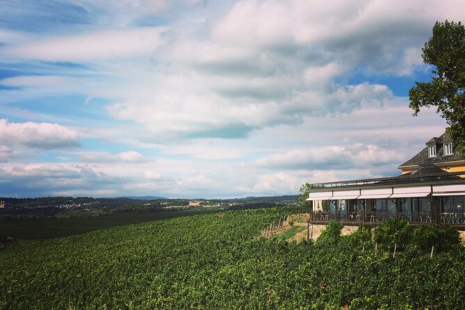 Small Group Rheingau Vineyards Tour with Castles and Abbeys - Entering Kloster Eberbach: 1,000 years and the Riesling origin story