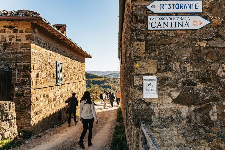 SMALL GROUP Tuscany Wine Tasting Safaris with Lunch / Dinner - What the Winery Stops Feel Like on the Ground