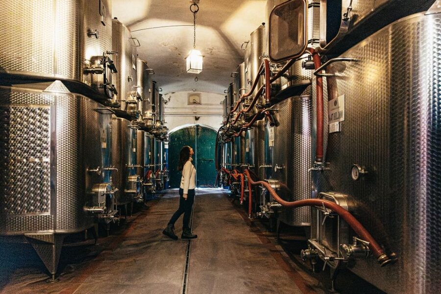 SMALL GROUP Tuscany Wine Tasting Safaris with Lunch / Dinner - Price and Value: Is $153 a Good Deal?